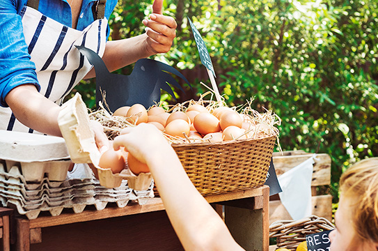 Eigenständige Vermarktung Ihrer TierwohlPV®-Produkte